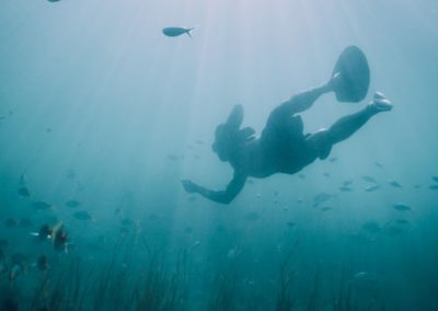 Palawan Island Survival