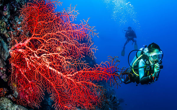 Diving
